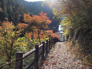 PB160595.JPG