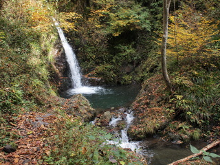 PB160632.JPG