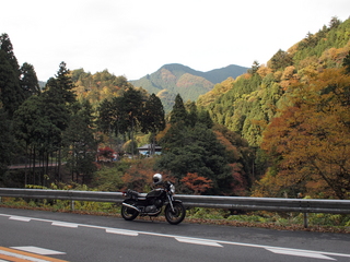 PB160657.JPG