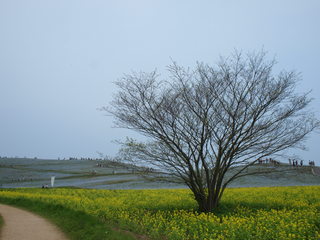 P5088204.JPG