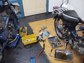 P6167434.JPG