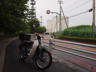P6210596.JPG
