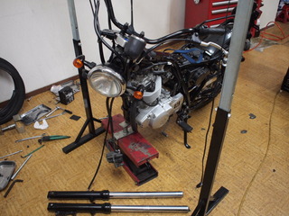 P8076903.JPG