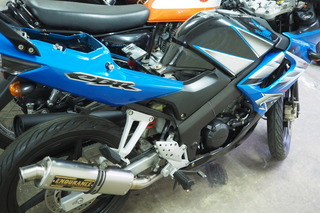 PA237140.JPG