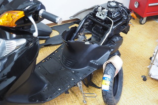 PA237142.JPG