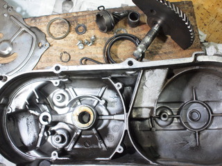 PA297108.JPG
