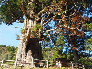 PB013245.JPG